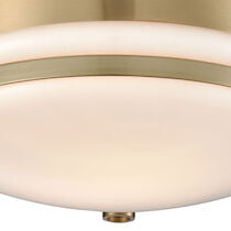 RILEY 10'' WIDE 1-LIGHT FLUSH MOUNT---CALL OR TEXT 270-943-9392 FOR AVAILABILITY