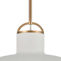 SURF 20'' WIDE 1-LIGHT PENDANT---CALL OR TEXT 270-943-9392 FOR AVAILABILITY