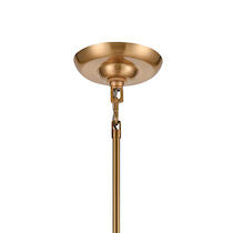 SURF 20'' WIDE 1-LIGHT PENDANT---CALL OR TEXT 270-943-9392 FOR AVAILABILITY