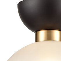 SOFTSHOT 12'' WIDE 1-LIGHT PENDANT---CALL OR TEXT 270-943-9392 FOR AVAILABILITY