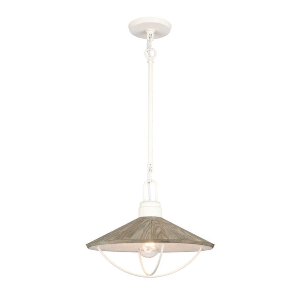 CAPE MAY 14'' WIDE 1-LIGHT PENDANT
