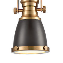 CHADWICK 8'' WIDE 1-LIGHT MINI PENDANT---CALL OR TEXT 270-943-9392 FOR AVAILABILITY