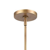 GABBY 14'' WIDE 1-LIGHT PENDANT---ALSO AVAILABLE IN POLISHED NICKEL