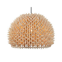 DURIAN 14'' WIDE 1-LIGHT PENDANT