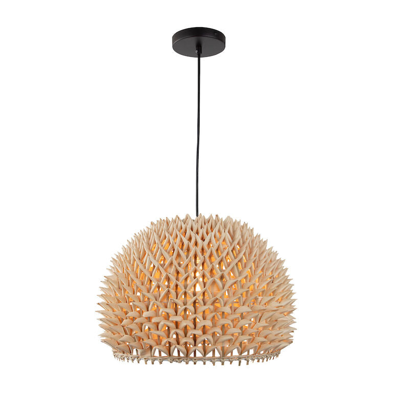 DURIAN 14'' WIDE 1-LIGHT PENDANT